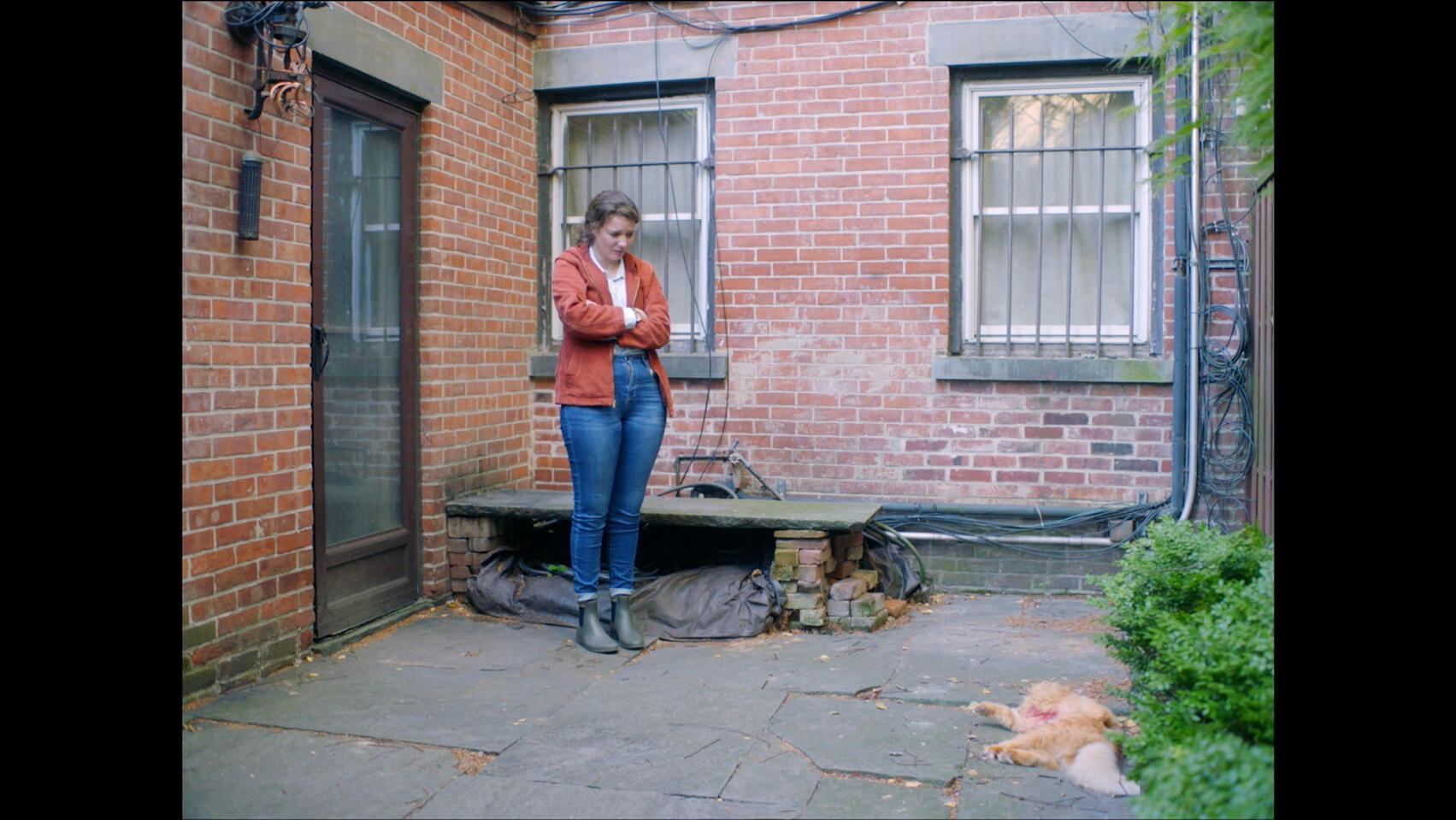 "Flight of the Kiwi" by Kat Iossa